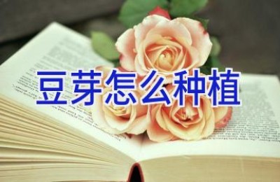豆芽怎么种植