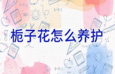 栀子花怎么养护