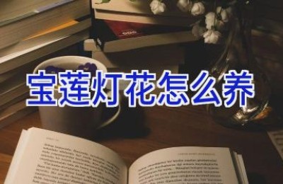 宝莲灯花怎么养
