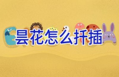 昙花怎么扦插