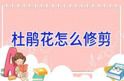 杜鹃花怎么修剪