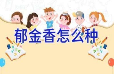 郁金香怎么种