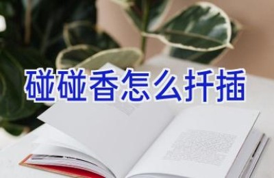 碰碰香怎么扦插