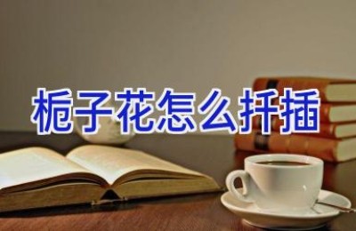 栀子花怎么扦插