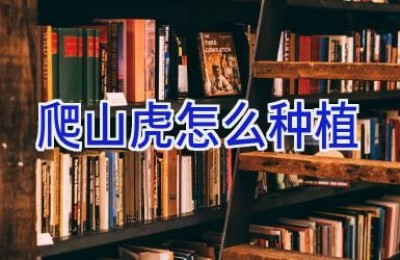 爬山虎怎么种植