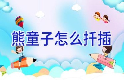 熊童子怎么扦插