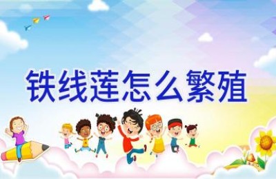 铁线莲怎么繁殖