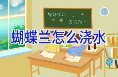 蝴蝶兰怎么浇水