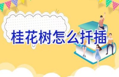 桂花树怎么扦插