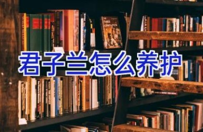 君子兰怎么养护