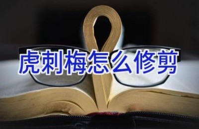 虎刺梅怎么修剪