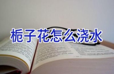 栀子花怎么浇水