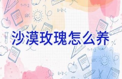 沙漠玫瑰怎么养