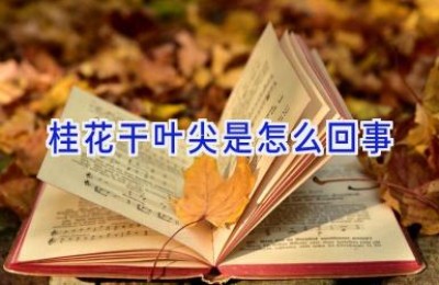 桂花干叶尖是怎么回事