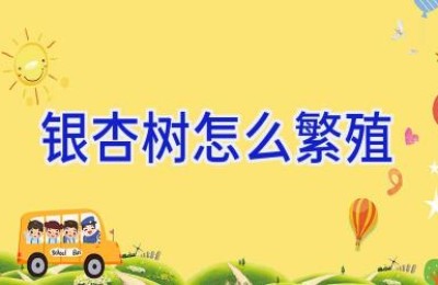 银杏树怎么繁殖