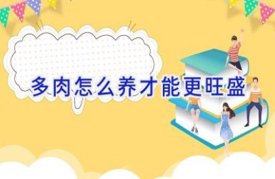 多肉怎么养才能更旺盛