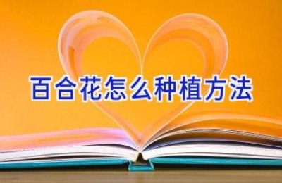 百合花怎么种植方法