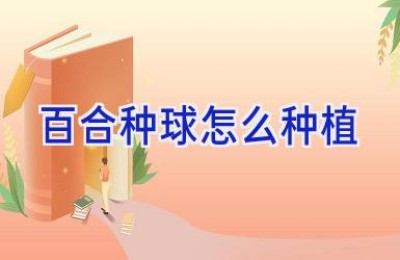 百合种球怎么种植