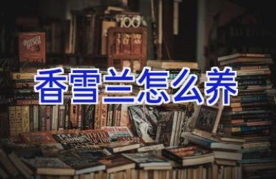 香雪兰怎么养