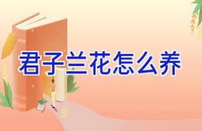 君子兰花怎么养