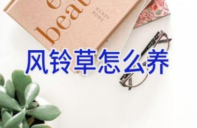 风铃草怎么养