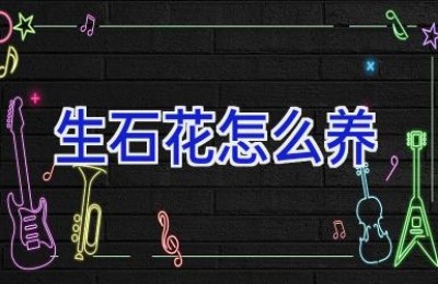 生石花怎么养