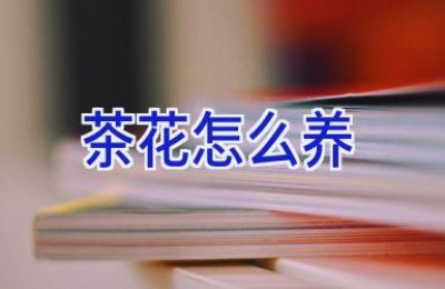 茶花怎么养