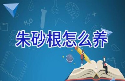 朱砂根怎么养