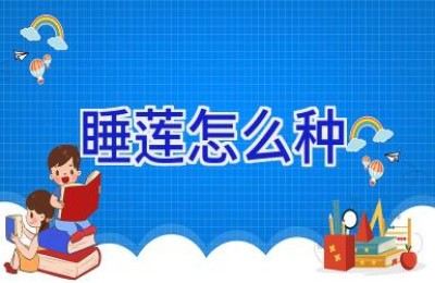 睡莲怎么种