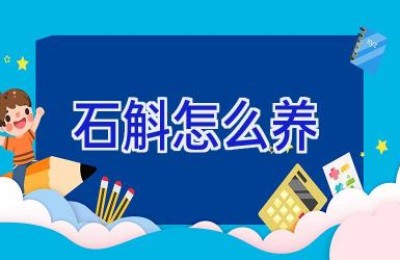 石斛怎么养