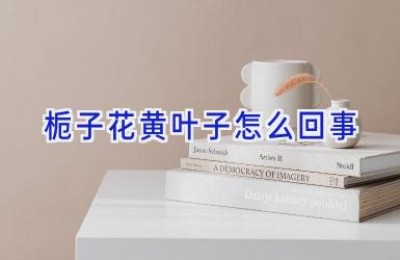 栀子花黄叶子怎么回事