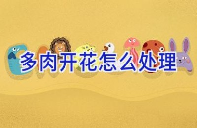 多肉开花怎么处理
