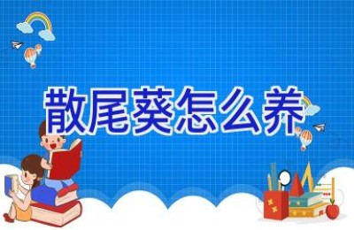 散尾葵怎么养