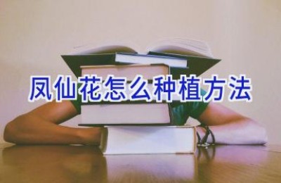 凤仙花怎么种植方法