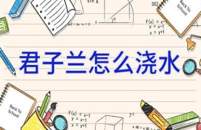 君子兰怎么浇水