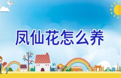 凤仙花怎么养