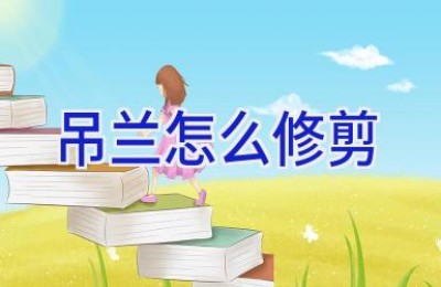 吊兰怎么修剪
