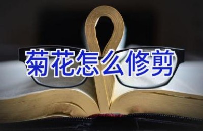 菊花怎么修剪
