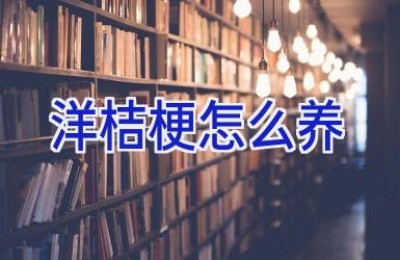 洋桔梗怎么养