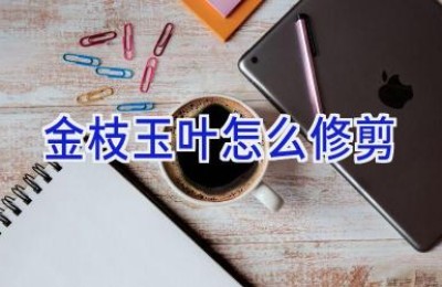 金枝玉叶怎么修剪