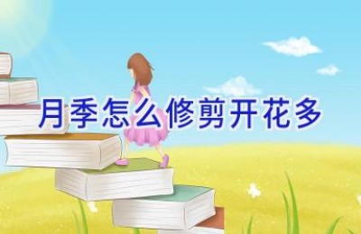 月季怎么修剪开花多