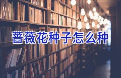 蔷薇花种子怎么种