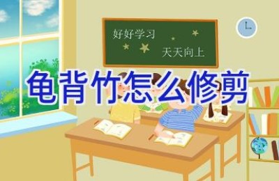 龟背竹怎么修剪