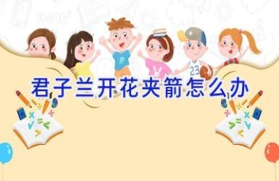 君子兰开花夹箭怎么办