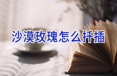 沙漠玫瑰怎么扦插