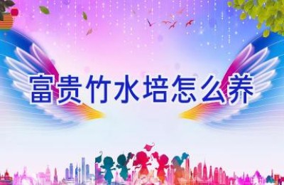 富贵竹水培怎么养