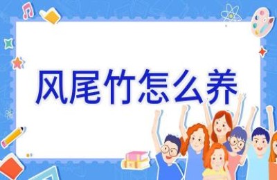 风尾竹怎么养