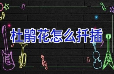 杜鹃花怎么扦插