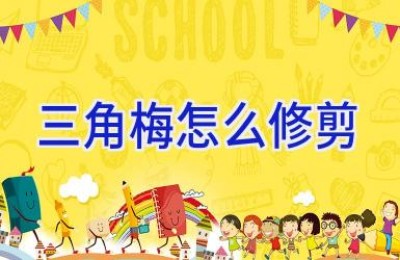 三角梅怎么修剪