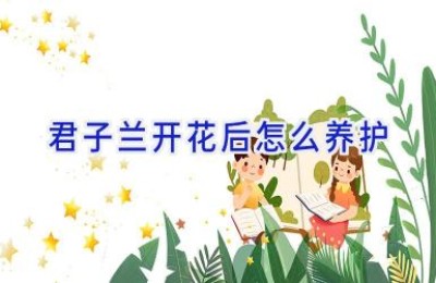 君子兰开花后怎么养护